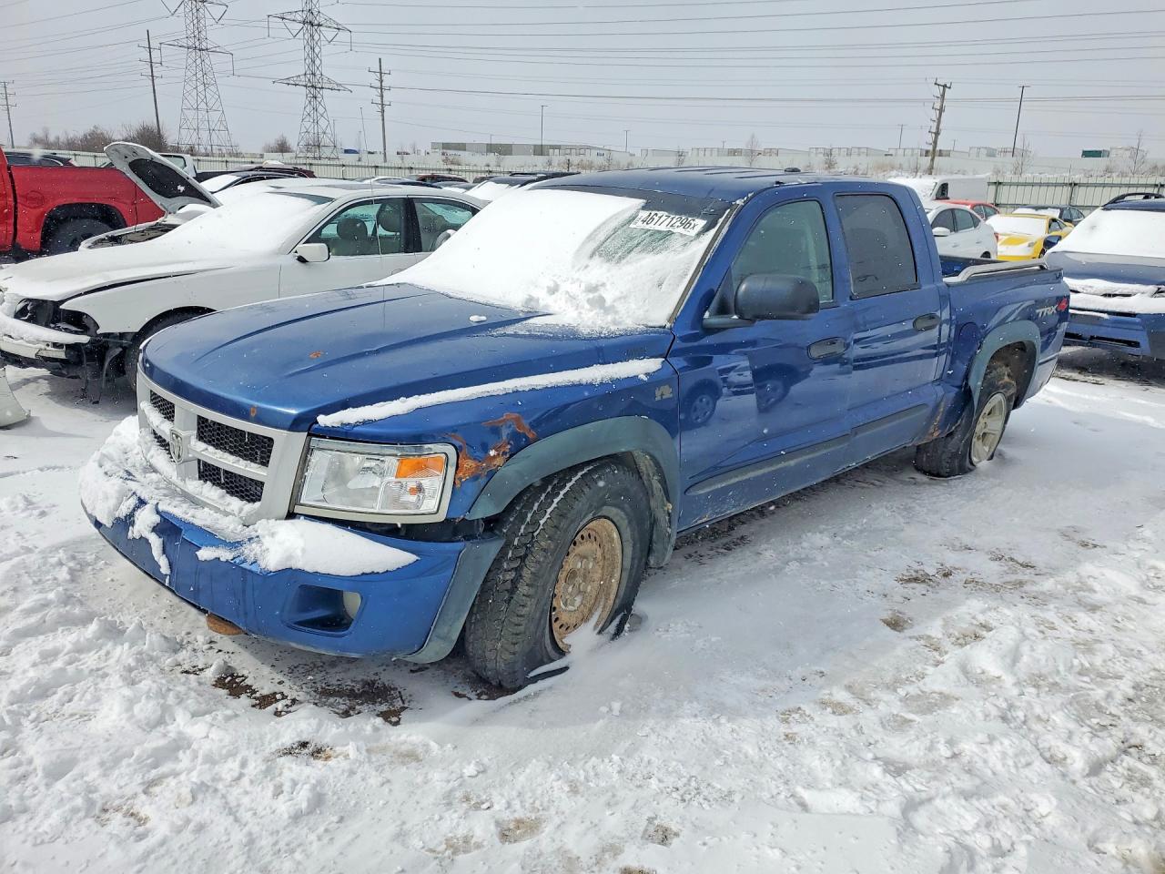 2010 DODGE Dakota