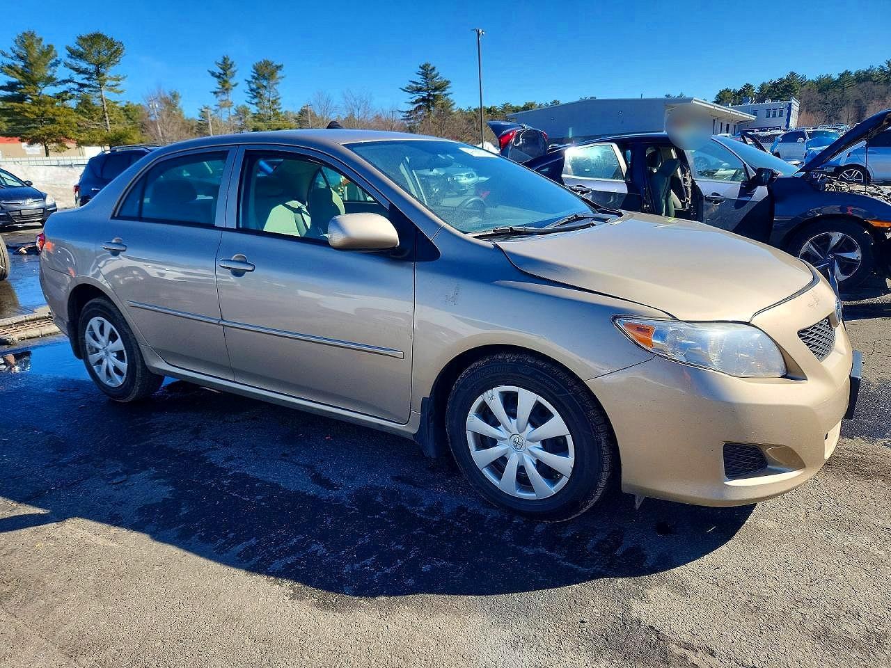 2009 TOYOTA COROLLA