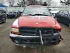 2004 DODGE Dakota