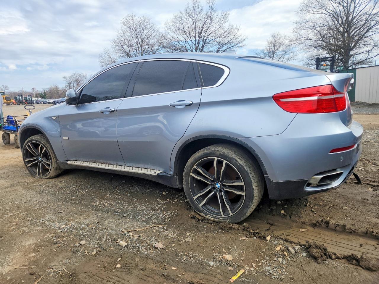 2010 BMW X6