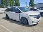 2023 HONDA ODYSSEY