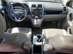 2009 HONDA CR-V