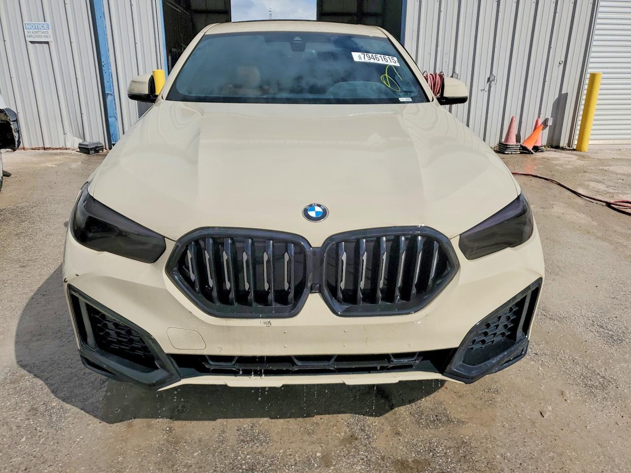 2022 BMW X6