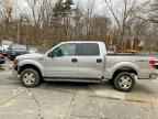 2011 FORD F-150 Lightning