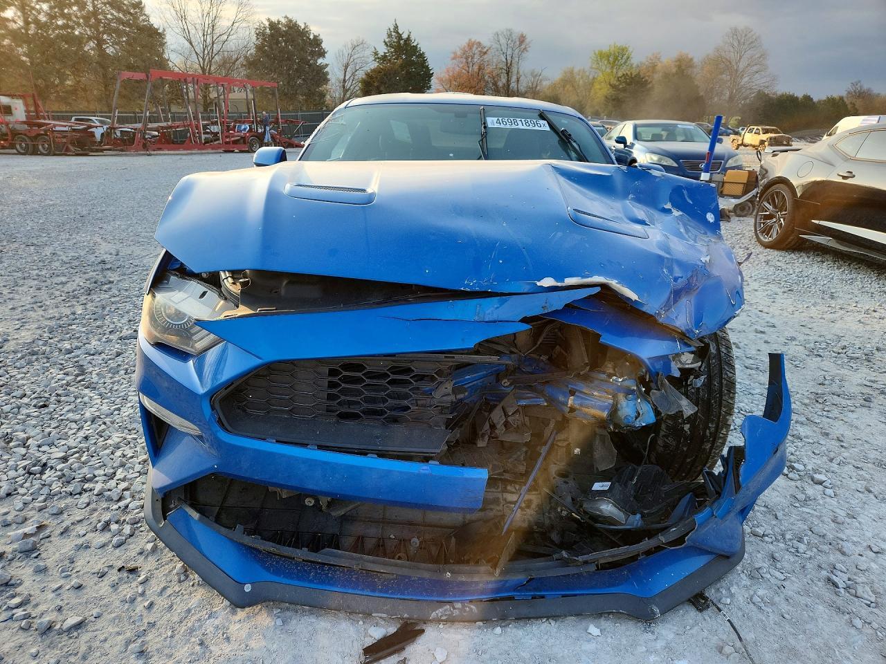 2019 FORD MUSTANG