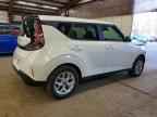 2025 KIA SOUL