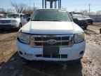 2010 FORD ESCAPE