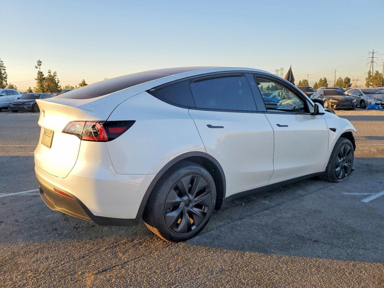 2025 TESLA MODEL Y