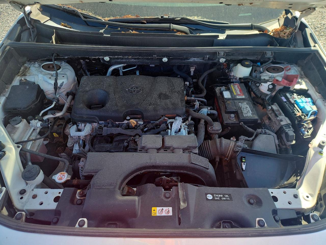 2020 TOYOTA RAV4