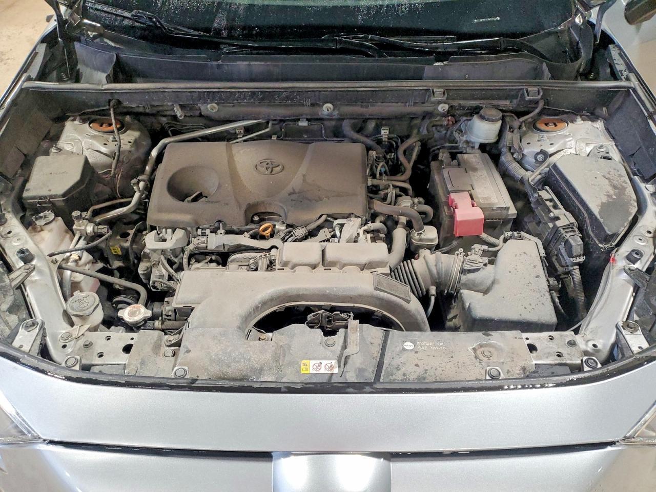 2019 TOYOTA RAV4