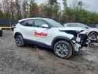 2025 KIA SELTOS