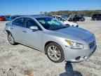 2014 NISSAN Maxima