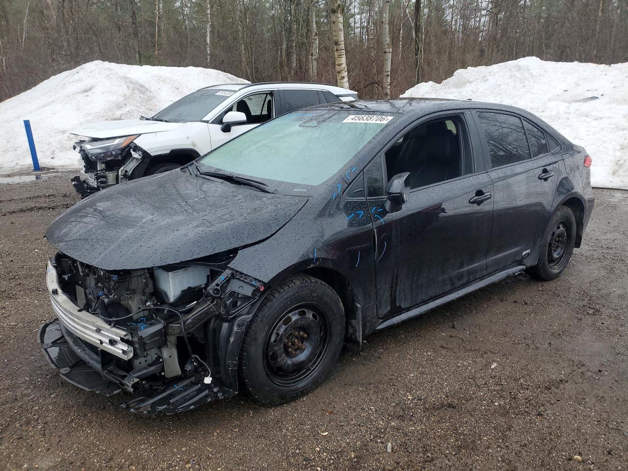 2024 TOYOTA COROLLA