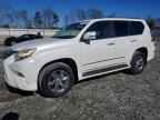 2014 LEXUS GX 460