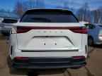 2025 LEXUS NX 350