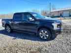 2019 FORD F-150 Lightning