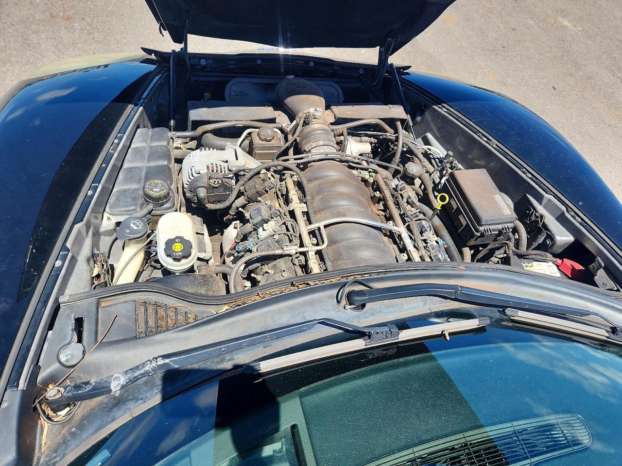 2005 CHEVROLET CORVETTE