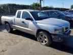 2010 DODGE Dakota