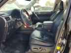 2013 LEXUS GX 460