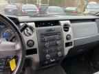 2011 FORD F-150 Lightning