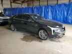 2023 CADILLAC CT4