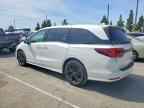 2023 HONDA ODYSSEY