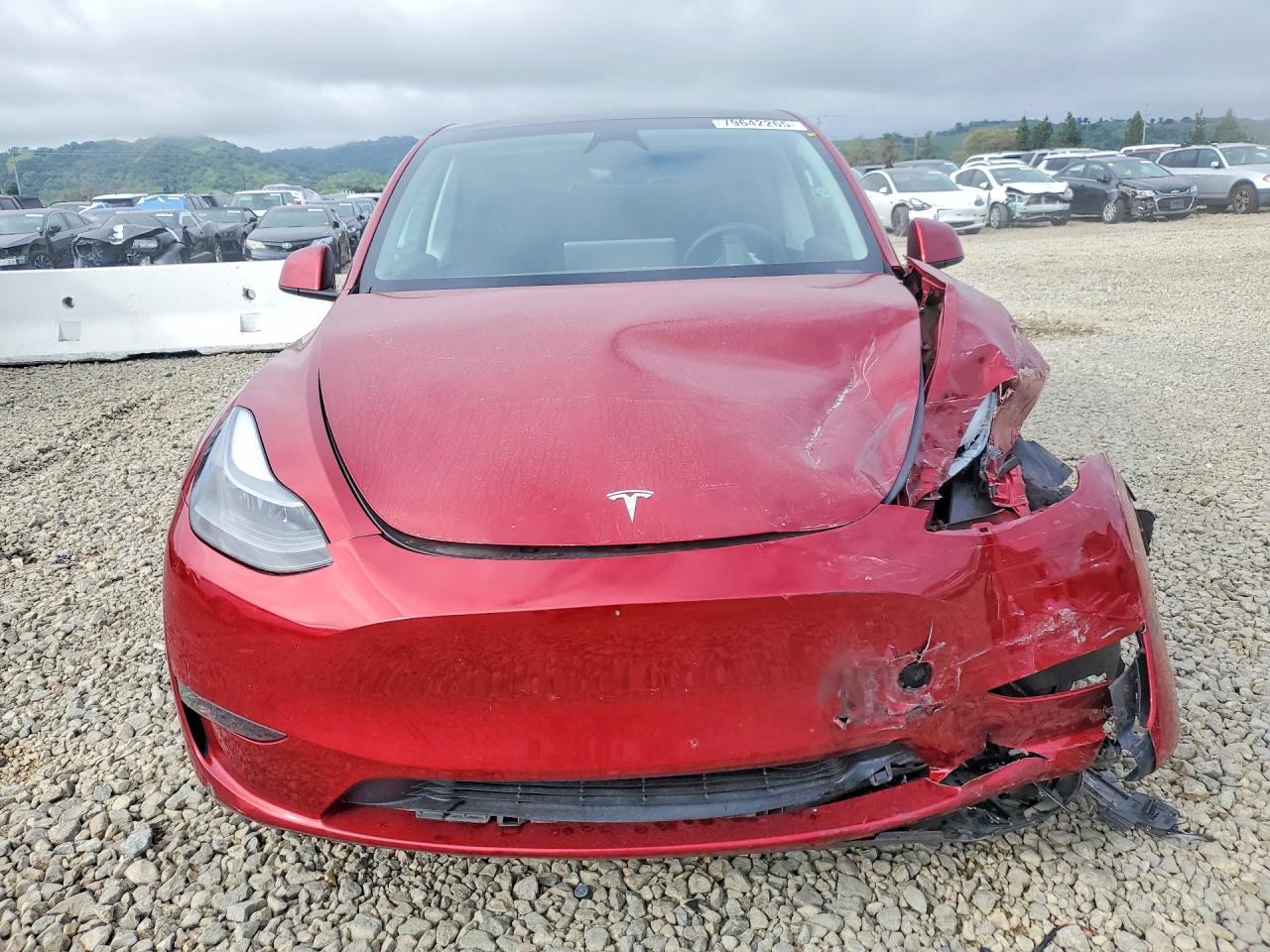 2024 TESLA MODEL Y