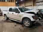 2010 FORD F-150 Lightning