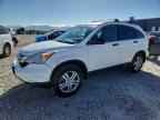2010 HONDA CR-V