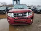 2012 FORD Escape Hybrid