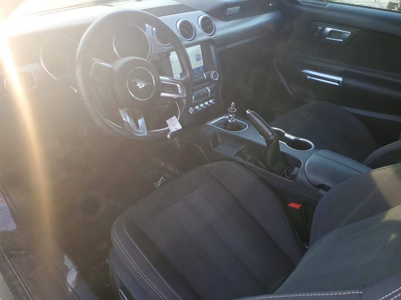 2019 FORD MUSTANG