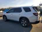 2024 HONDA PILOT