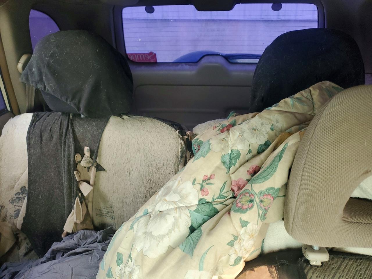 2002 TOYOTA RAV4