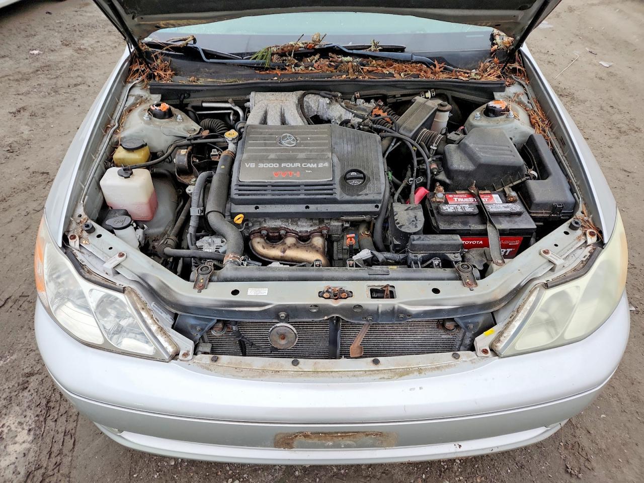 2004 TOYOTA Avalon