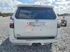 2024 TOYOTA 4Runner