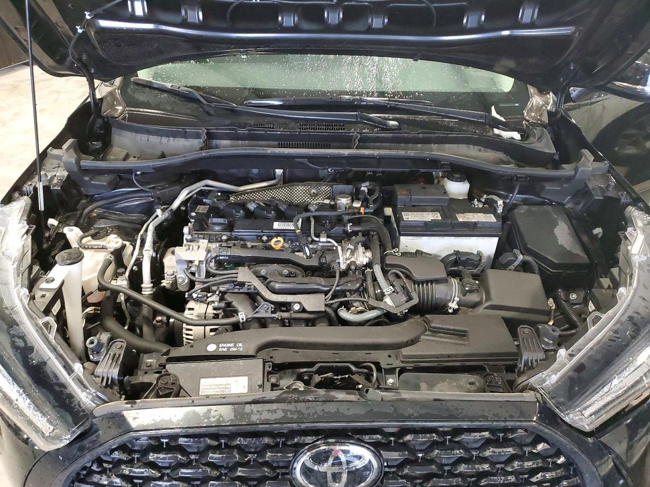 2023 TOYOTA COROLLA