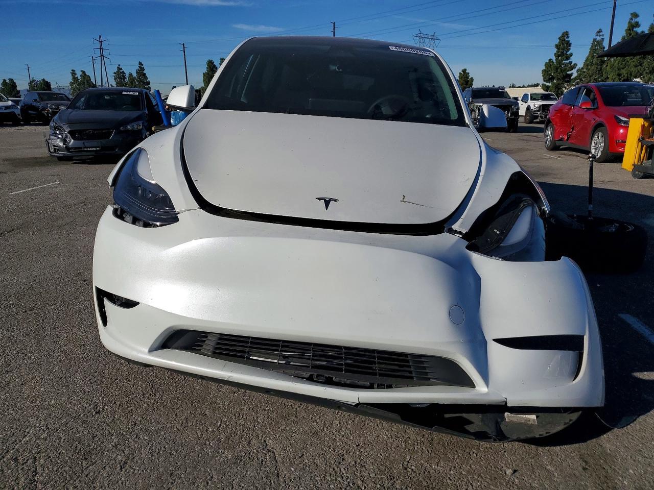 2025 TESLA MODEL Y