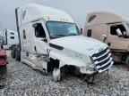 2025 FREIGHTLINER CASCADIA 126
