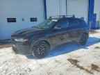 2024 DODGE Hornet