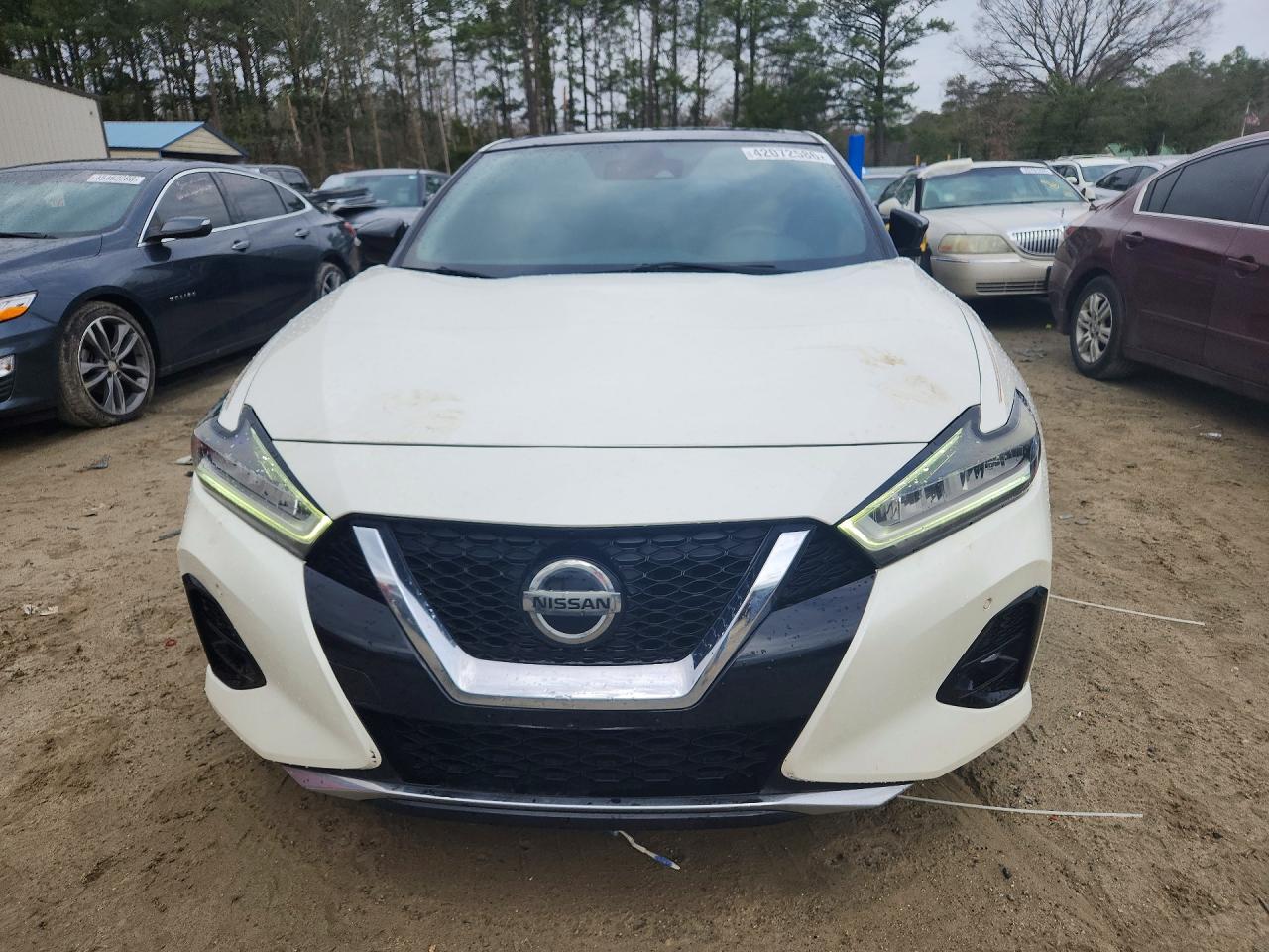 2019 NISSAN Maxima