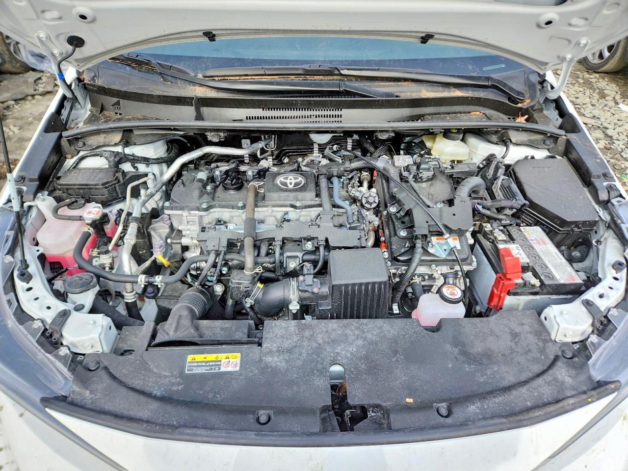 2025 TOYOTA COROLLA