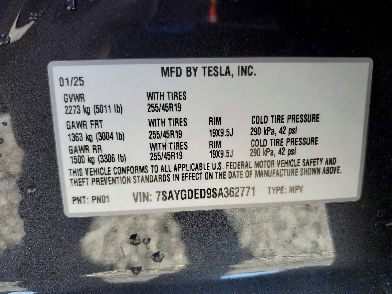 2025 TESLA MODEL Y