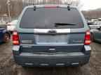 2010 FORD Escape Hybrid