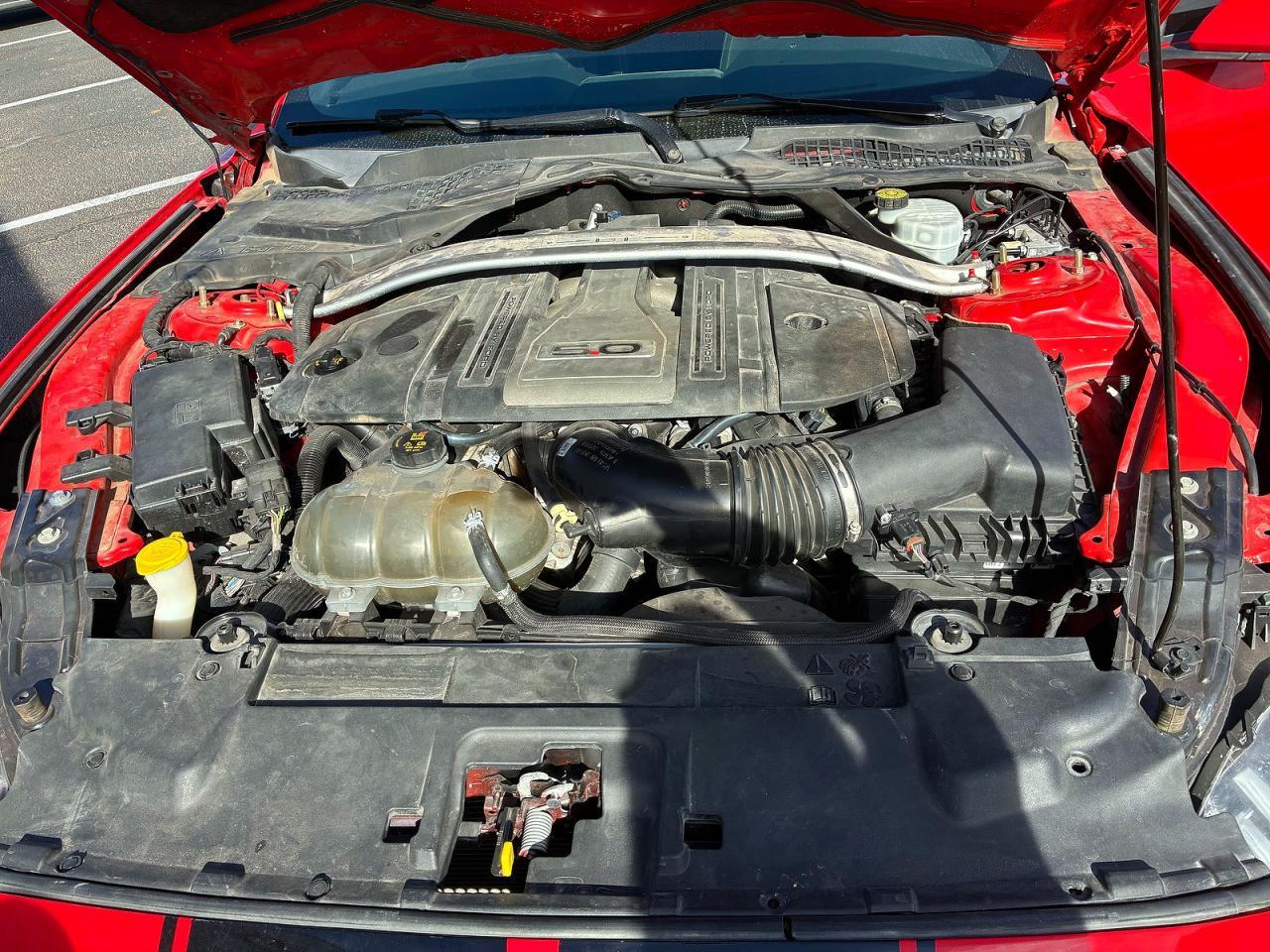 2019 FORD MUSTANG