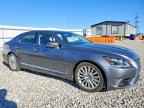 2015 LEXUS LS 460