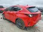 2024 LEXUS NX 250