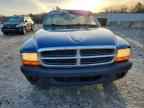 2004 DODGE Dakota