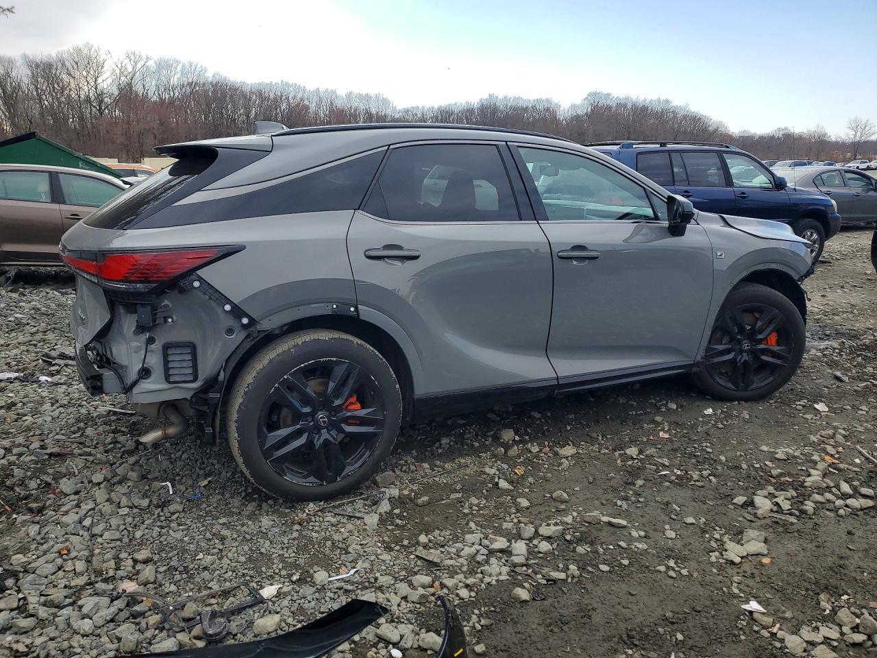 2025 LEXUS RX 500H