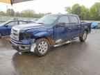2013 FORD F-150 Lightning
