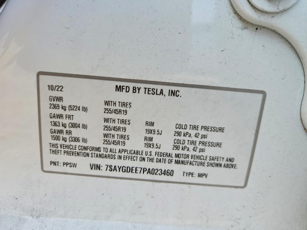 2023 TESLA MODEL Y